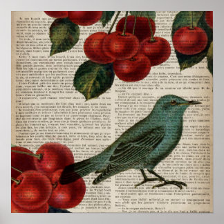 Póster french country bird retro botanical red cherry