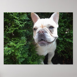 Póster Frenchy on Patrol