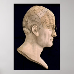 Póster Frenología 1834