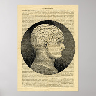 Póster Frenología de la cabeza humana del poster en el pe