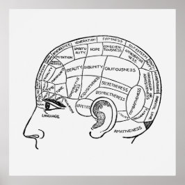 Póster Frenología vintage Neurología ilustrada