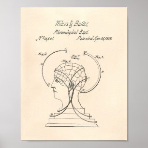 Póster Frenological Bust 1856 Patent Art Old Peper