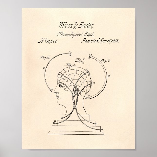 Póster Frenological Bust 1856 Patent Art Old Peper (Frente)