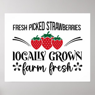 Póster Fresas frescas recolectadas localmente