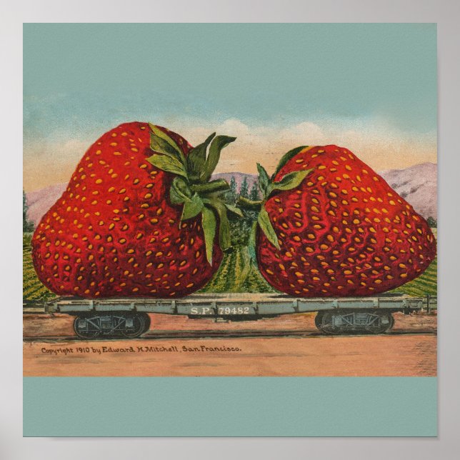 Póster Fresas Gigante Fruto de la Antigüedad (Frente)