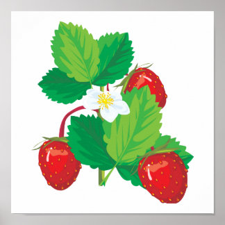 Póster fresas jugosas y realistas
