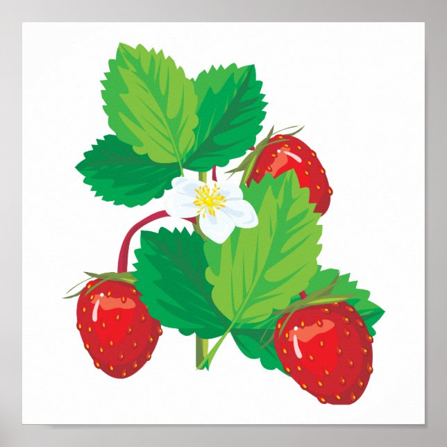 Póster fresas jugosas y realistas (Frente)