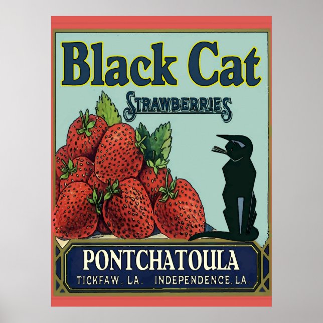 Póster Fresas Pontchatoula, gato vintage (Frente)