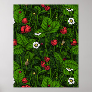 Póster Fresas silvestres