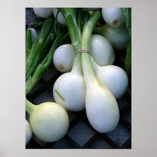 Póster Fresco De La Granja