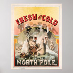 Póster Fresco y frío - Cerveza directa del Polo Norte