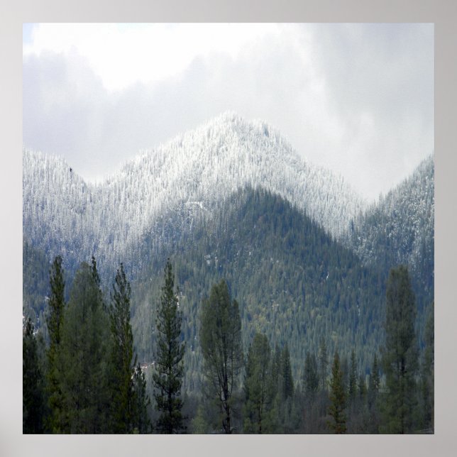 Póster Fresh powdered snow..... (Frente)