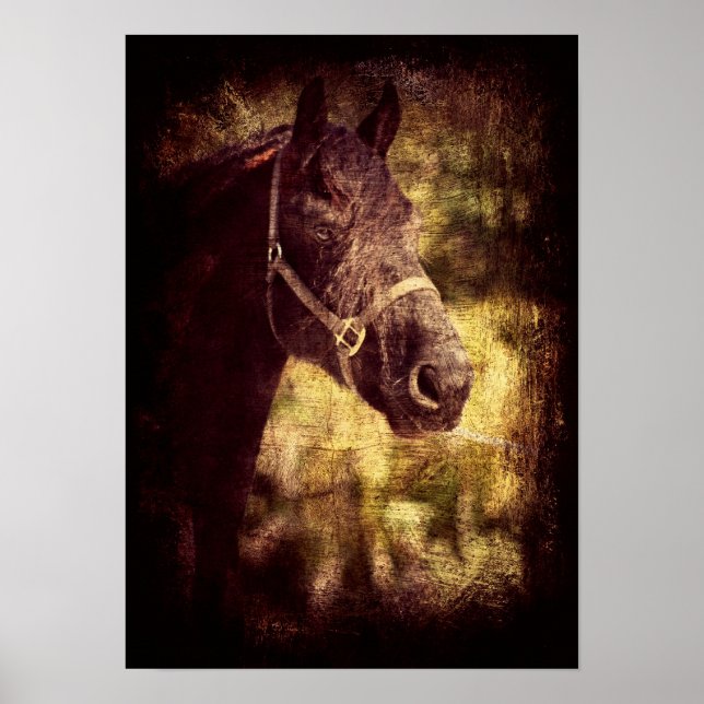 Póster Fresian Grunge (Frente)