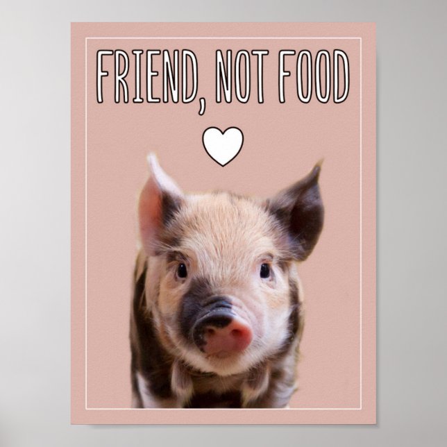 Póster "Friend, not food" with cute piglet vegan (Frente)