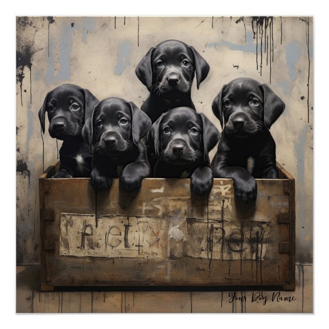 Póster Friendly Labrador Recuperever Puppy Dogs 003 - Rai (Anverso)