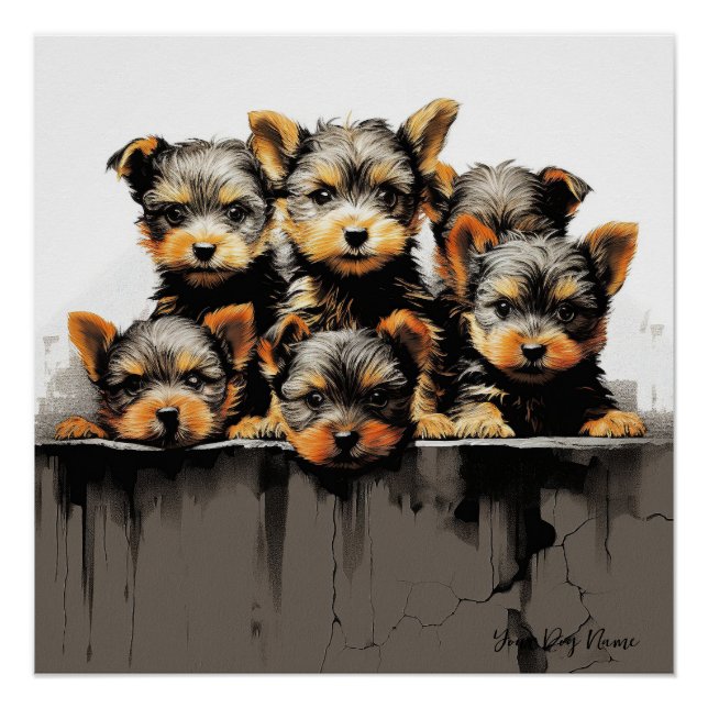 Póster Friendly Yorkshire Terrier Puppy Dogs 001 - Raimo (Anverso)
