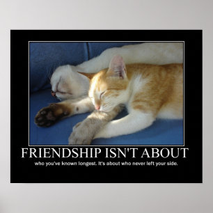 Póster Friendship Cats Love Artwork Inspirational