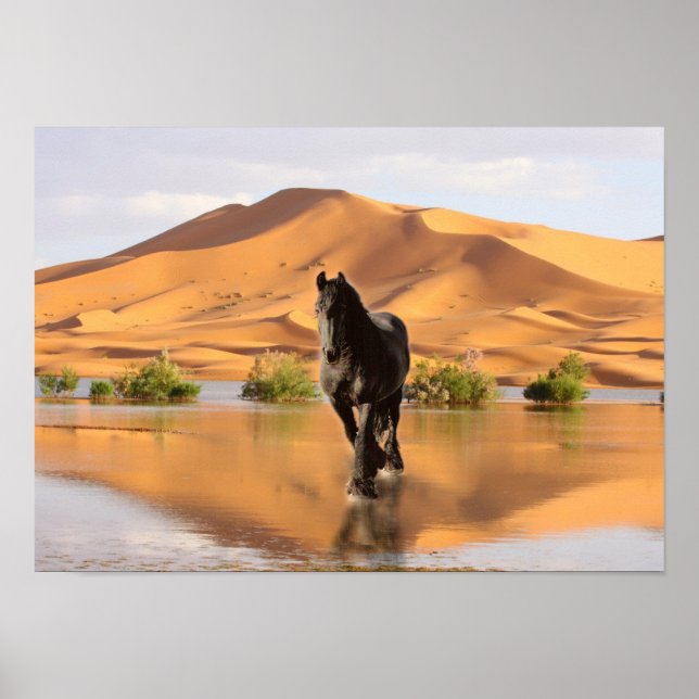Póster Friesian DIAMOND V - Poster (Frente)