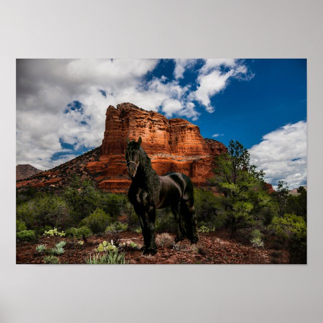 Póster Friesian DIAMOND VI - Poster (Frente)