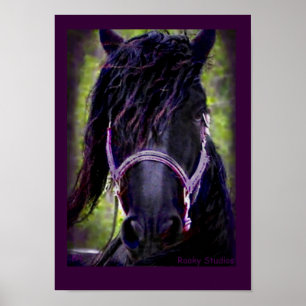 Póster Friesian Horse Poster