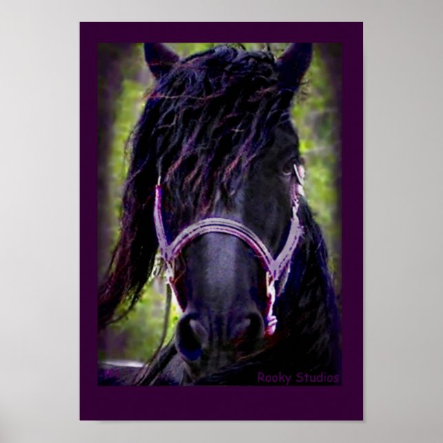 Póster Friesian Horse Poster (Frente)