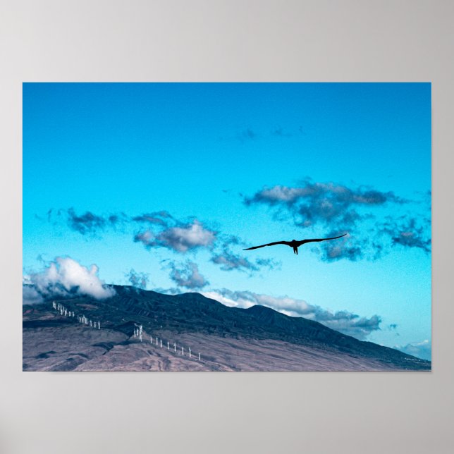 Póster Frigatebird se eleva sobre el poster del océano Ma (Frente)