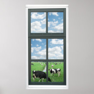 Póster Frisian Holstein Cows Farm Faux Window View Poster
