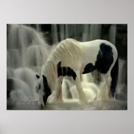 Póster Frison, Papier poster (mat)