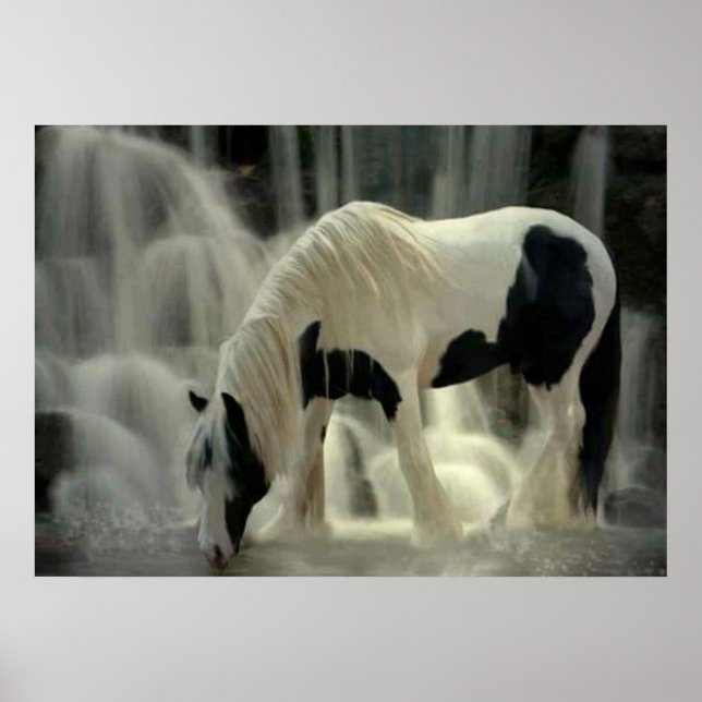 Póster Frison, Papier poster (mat) (Frente)