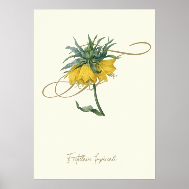 Póster Fritillaire (Frente)