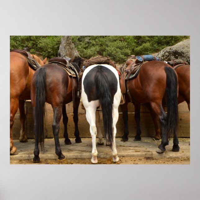 Póster From Behind (Frente)