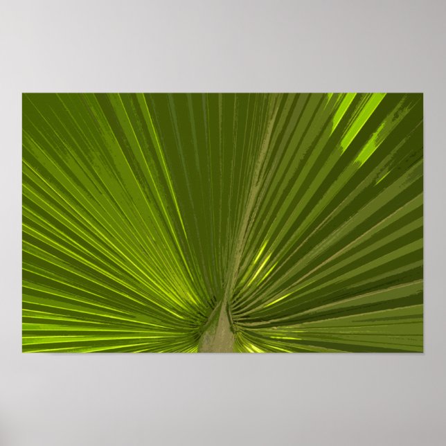 Póster Fronda de palma tropical verde (Frente)