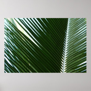 Póster Frondas de Palma Superpuestas Tropical Verde Abstr