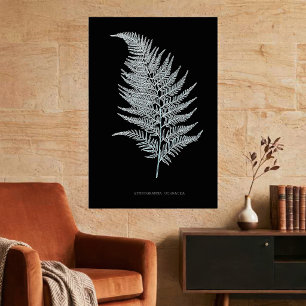 Póster Fronde de Helecho Ocra, Gymnogramma Ochracea