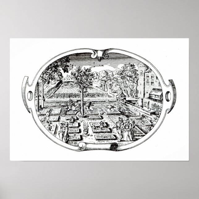 Póster Frontispiece, from 'The Herball', by John Gerard ( (Frente)