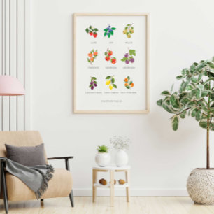 Póster Fruta colorida de la pared espiritual Poster colga