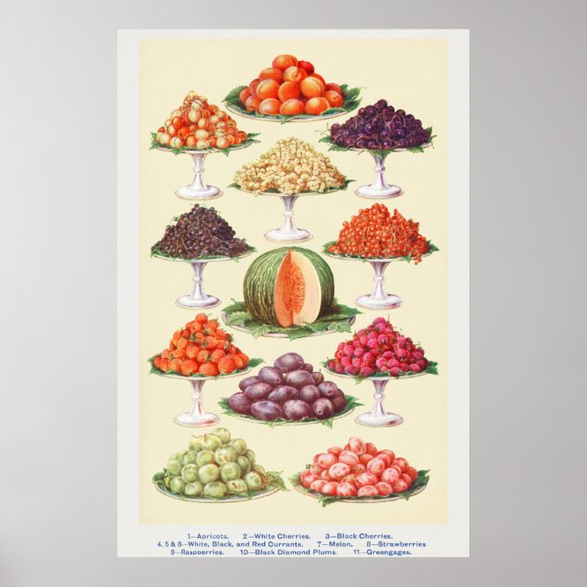 Póster Fruta de la cosecha (Frente)