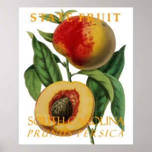 Póster Fruta del Territorio de Carolina del Sur: El Peach