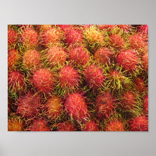 Póster Fruta tropical de Rambutan (Frente)
