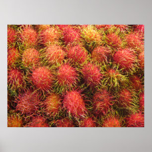 Póster Fruta Tropical Rambután