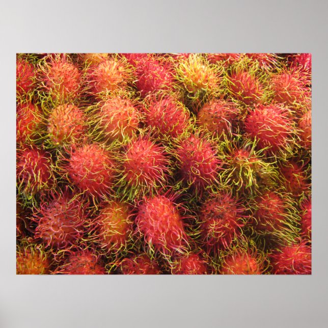 Póster Fruta Tropical Rambután (Frente)