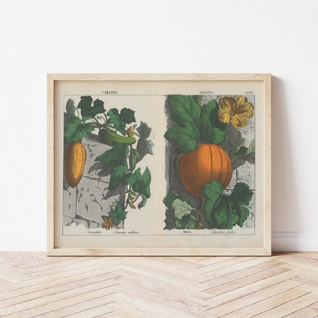 Póster Frutas | Charlotte Mary Yonge (Subido por el creador)