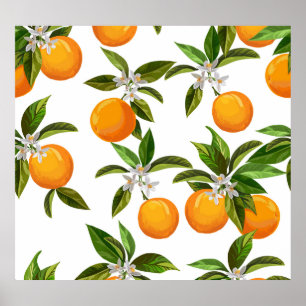 Póster Frutas cítricas: Ilustracion digital vintage