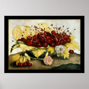 PÓSTER FRUTAS DE LA TEMPORADA / CEREZAS Y CLAVELITAS
