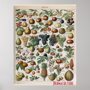 Póster Frutas de las granjas de permacultura , personaliz
