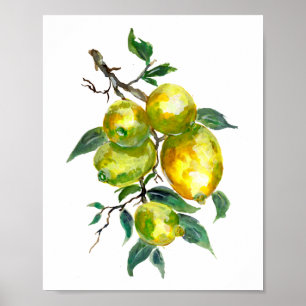 Póster Frutas de limón colgando de una rama de árbol