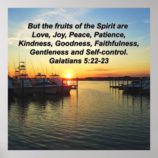 PÓSTER FRUTAS DE SOL DE SUPLEMENTO DEL DISEÑO ESPÍRITU (Frente)