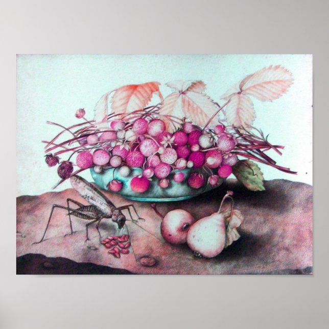 PÓSTER FRUTAS DE TEMPORADA / FRESCOS Y PILAS (Frente)