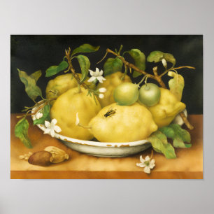 PÓSTER FRUTAS DE TEMPORADA LIMONES Y FLORES BLANCAS