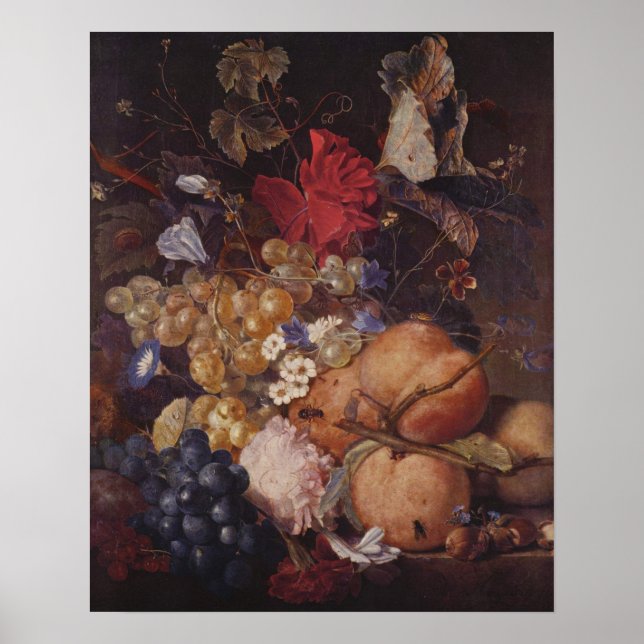 Póster Frutas, flores e insectos de Jan van Huysum (Frente)